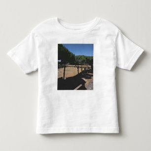 Camiseta Infantil O grande Palaestra