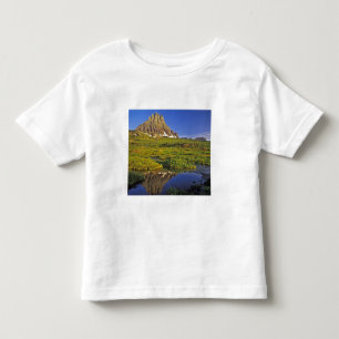 Camiseta Infantil O Mt Clements reflete-se numa pequena poça em Loga