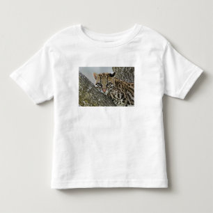 Camiseta Infantil Ocelot, Felis pardalis, cativo, fêmea descansando 
