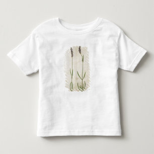 Camiseta Infantil Officinalis do Lavandula (lavanda inglesa velha),