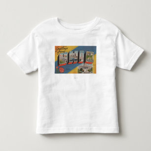Camiseta Infantil Ohio (capital de estado/flor) - grande cena da