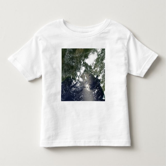 Camiseta Infantil Óleo se espalha no nordeste (Frente)