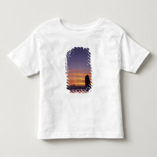Camiseta Infantil OR, Costa do Oregon, Cannon Beach, formações rocho