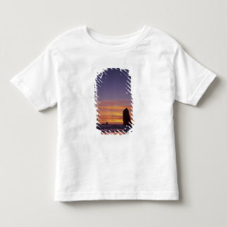 Camiseta Infantil OR, Costa do Oregon, Cannon Beach, formações rocho