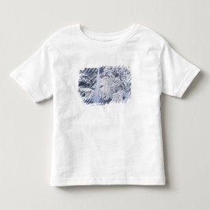 Camiseta Infantil Oregon, Área Cênica Nacional do Desfiladeiro de Co