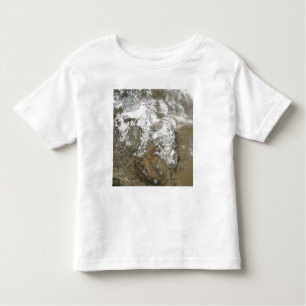 Camiseta Infantil Os altos picos das Montanhas Rochosas