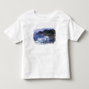 Camiseta Infantil OU, Costa do Oregon, Farol de Heceta Head, em