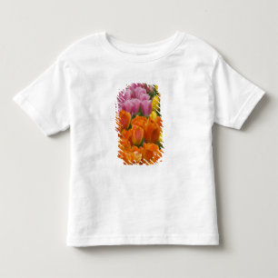 Camiseta Infantil Países Baixos (também conhecido como Holanda), Lis