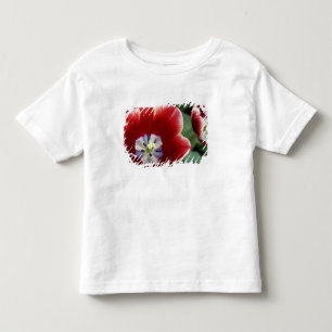 Camiseta Infantil Países Baixos (também conhecido como Holanda), Lis