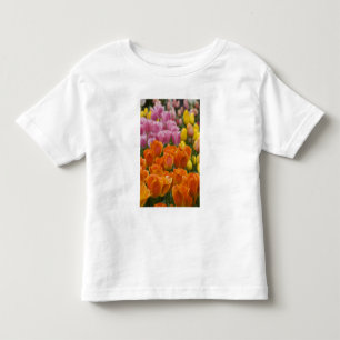 Camiseta Infantil Países Baixos (também conhecido como Holanda), Lis