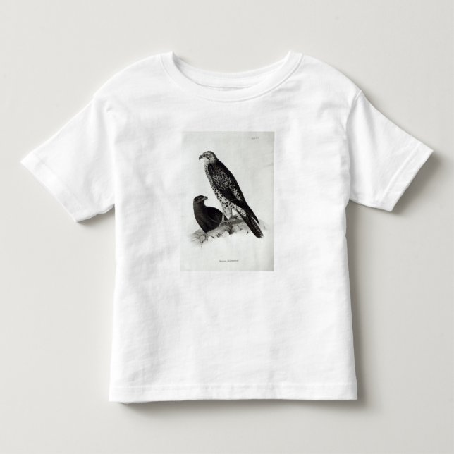 Camiseta Infantil Pássaros de rapina (Frente)