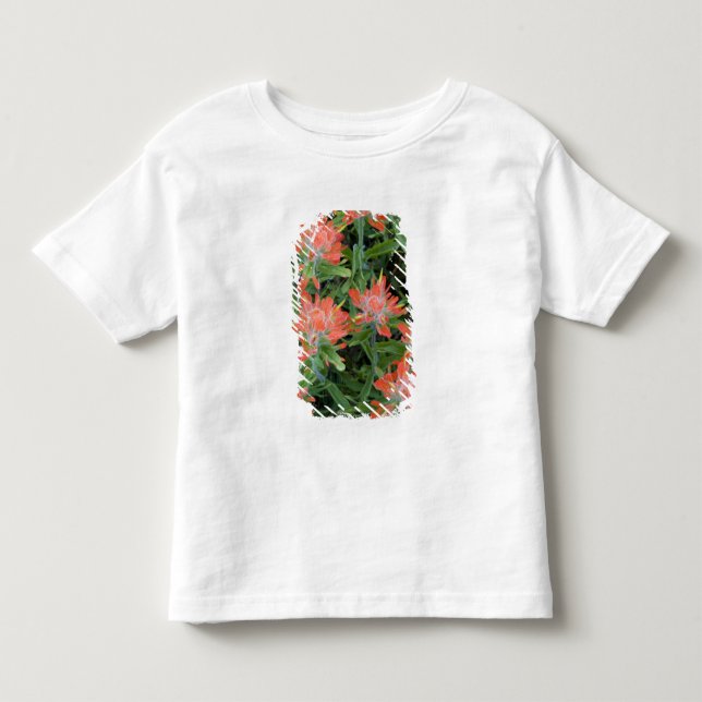 Camiseta Infantil Pincéis de índio em Many (Frente)