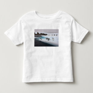 Camiseta Infantil Pinguins-de-barbicha
