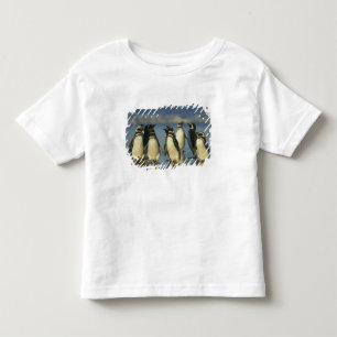 Camiseta Infantil Pinguins-de-magalhães, Spheniscus