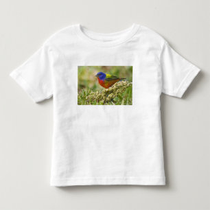 Camiseta Infantil Pintor Verdadeiro