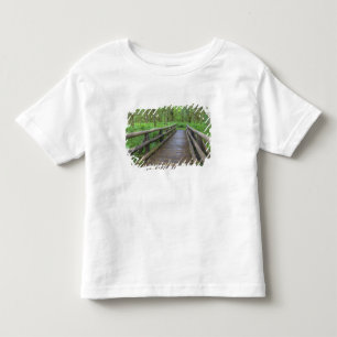 Camiseta Infantil ponte de madeira Maple Glade trail, samambaias e
