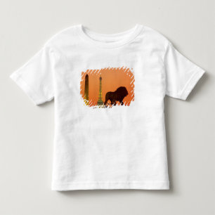 Camiseta Infantil Praça da Concorde; Torre Eiffel; Obelisco;