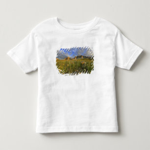 Camiseta Infantil Prairie Wildflower em Windy Creek nos Muitos
