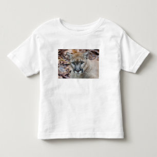 Camiseta Infantil Puma, leão-da-montanha, pantera-da-flórida, Puma