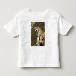 Camiseta Infantil Puma ou leão-da-montanha, puma concolor, Cativo -