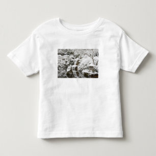 Camiseta Infantil Queda de neve no Jardim Japonês Portland, 2