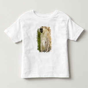 Camiseta Infantil Quênia, Parque Nacional do Lago Nakuru. Vervet
