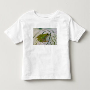 Camiseta Infantil Rã-arbórea-do-pacífico em flores no nosso jardim,