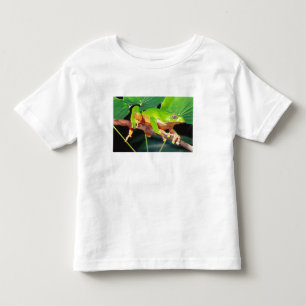 Camiseta Infantil Rã-árvore-gigante-bicolor, Phyllomedusa