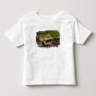 Camiseta Infantil Rã-touro, Rana catesbeiana