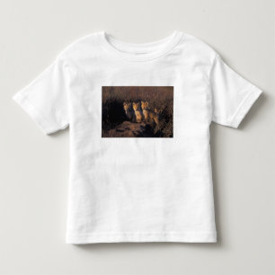 Camiseta Infantil raposa-vermelha, Vulpes vulpes, filhotes