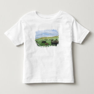 Camiseta Infantil Rebanho de bisões pastam grama da pradaria em Theo