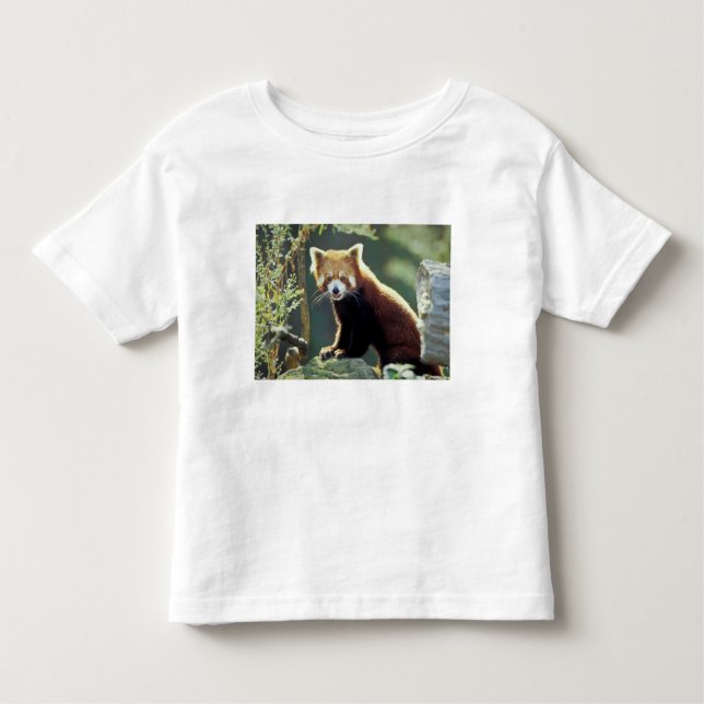 Camiseta Infantil Red Panda Ailurus fulgens) (Frente)