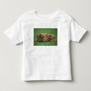 Camiseta Infantil Reino Unido, Escócia. Bezerro das Terras Altas