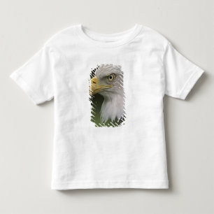 Camiseta Infantil Retrato de Águia Americana Adulta, Haliaeetus