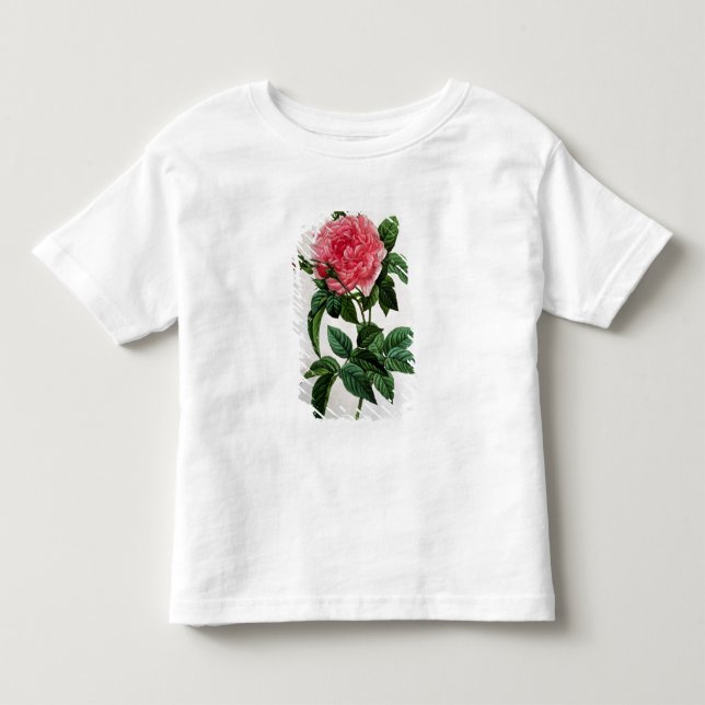 Camiseta Infantil Rosa Gallica Regallis (Frente)