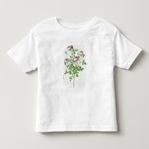 Camiseta Infantil Rosa Pomponia, 'dos rosas de Les