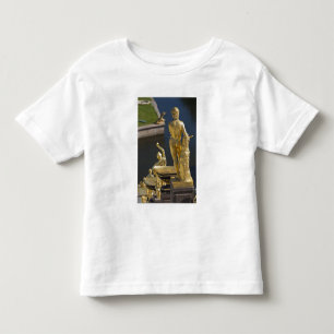 Camiseta Infantil Santo Petersburgo, fonte da Grand Cascade