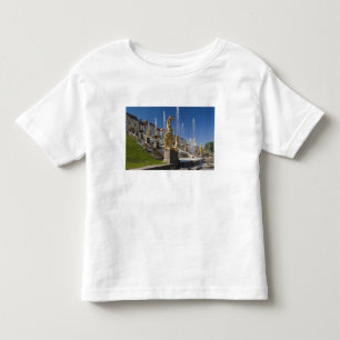 Camiseta Infantil São Petersburgo, fontes da Grand Cascade