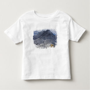 Camiseta Infantil Schloss Hohenschwangau