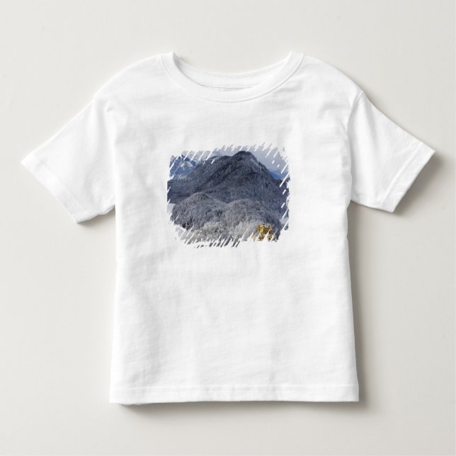 Camiseta Infantil Schloss Hohenschwangau (Frente)