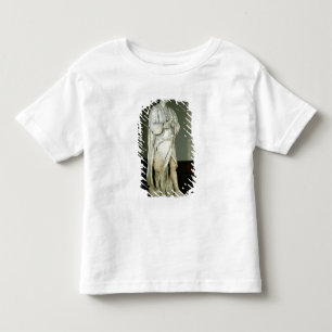 Camiseta Infantil Senhor Isaac Newton
