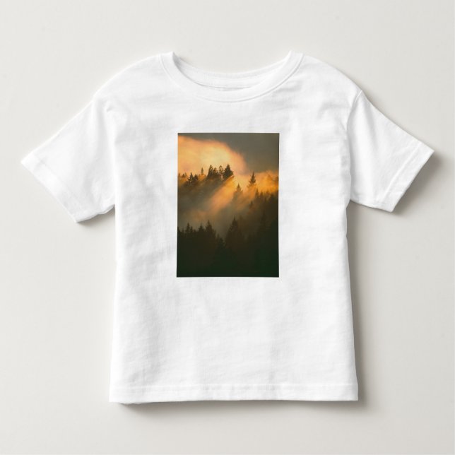 Camiseta Infantil Sequoias vermelhas no nevoeiro costeiro, Condado d (Frente)