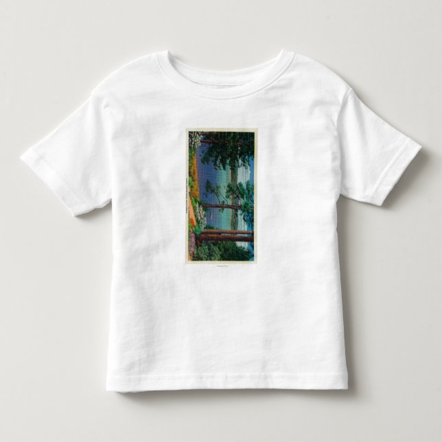 Camiseta Infantil Seta de ViewLake da seta do lago, CA (Frente)