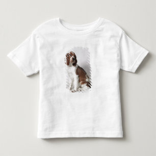 Camiseta Infantil Spaniel de Springer