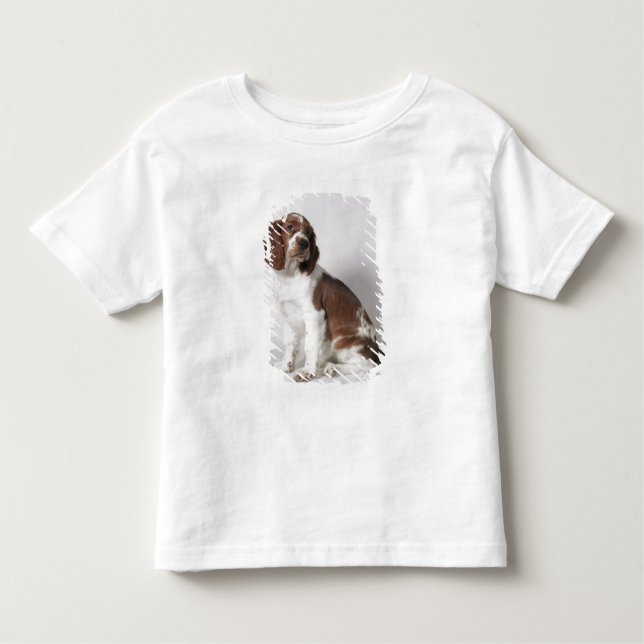 Camiseta Infantil Spaniel de Springer (Frente)