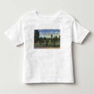 Camiseta Infantil Spokane, Washington - terraço superior