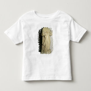 Camiseta Infantil St. Bruno