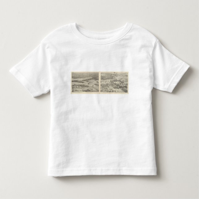 Camiseta Infantil St Louis, Missouri 22 (Frente)