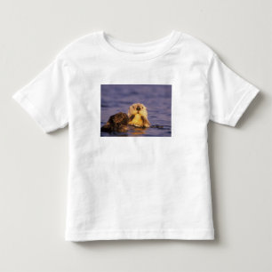 Camiseta Infantil Tartarugas marinhas, Enhydra lutris 5