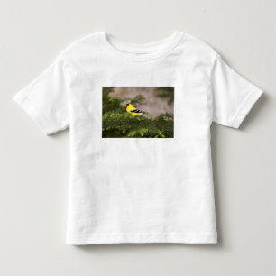 Camiseta Infantil Tentilhão-dourado-americano macho em uma árvore